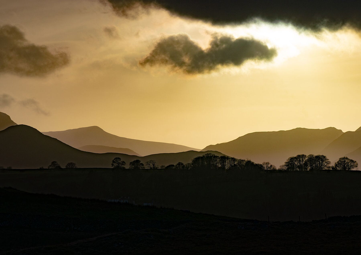 Stillness of Gold - nigelryan.art