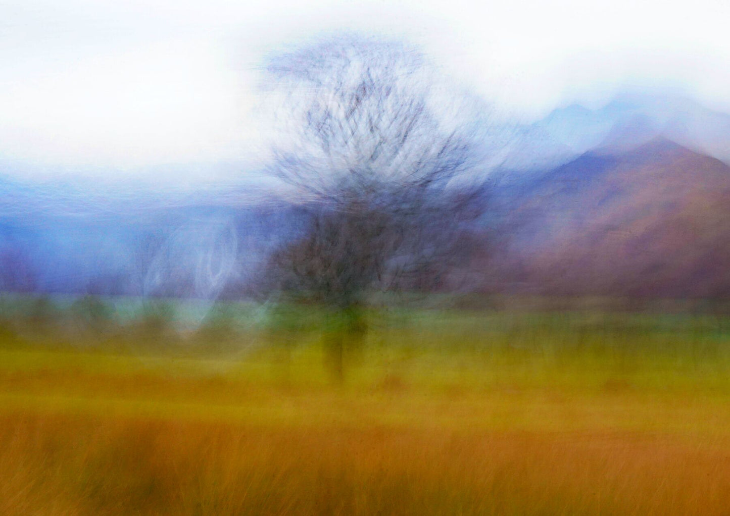 The Lone Tree - nigelryan.art