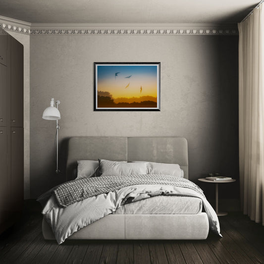 Traces of Flight - nigelryan.art