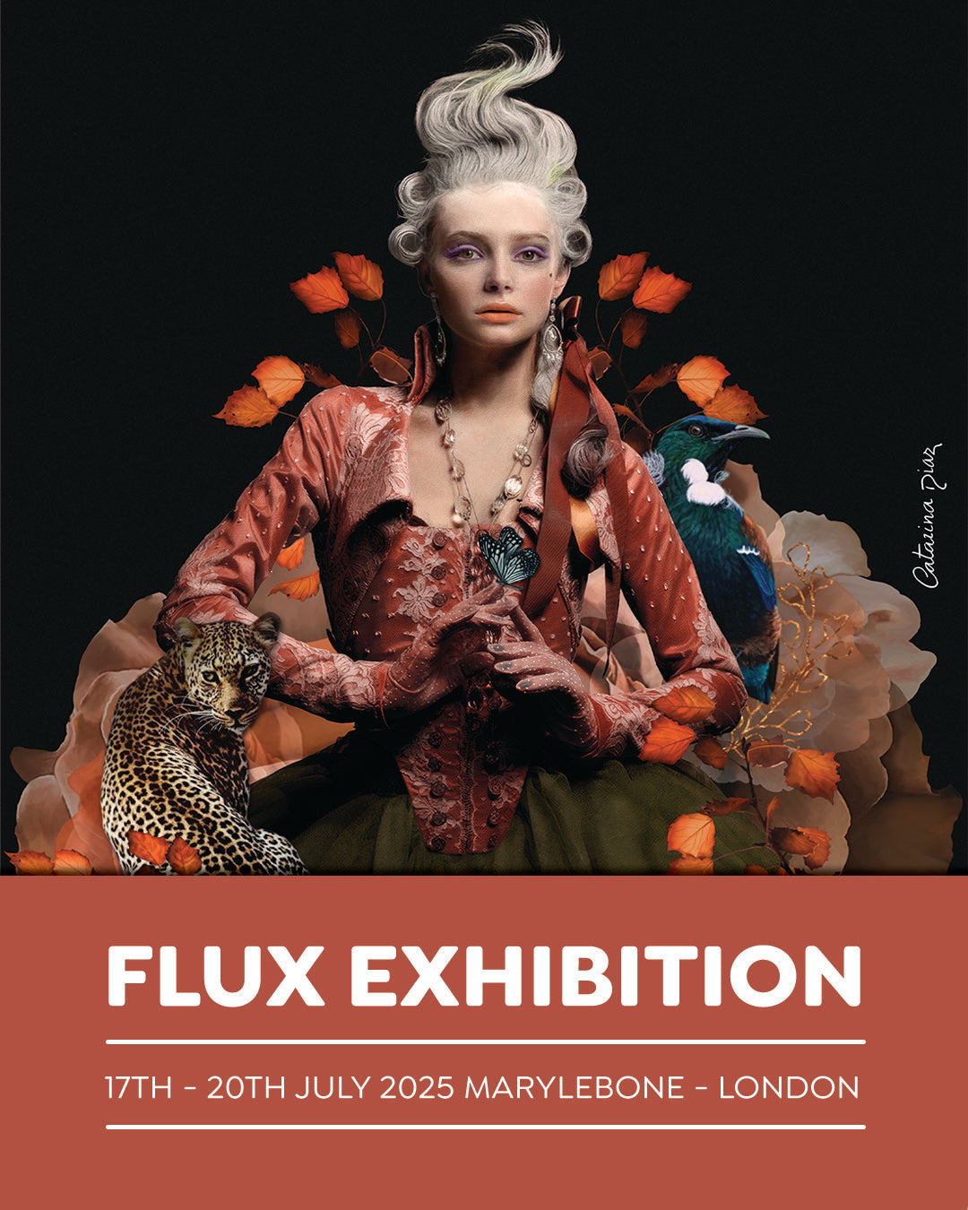 Flux 2025 Collection