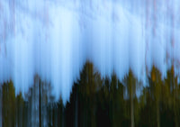 ... And The Trees Fell - nigelryan.art