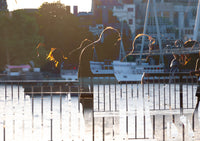 Holding Light - nigelryan.art