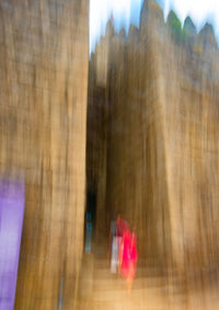 Saem do Castelo - nigelryan.art