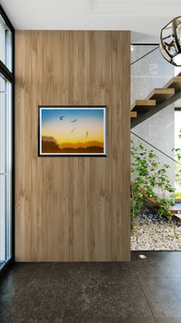 Traces of Flight - nigelryan.art