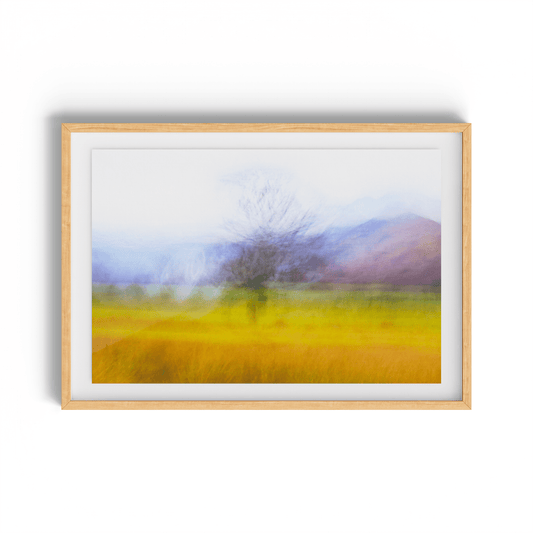 The Lone Tree - nigelryan.art