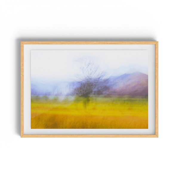 The Lone Tree - nigelryan.art