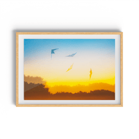 Traces of Flight - nigelryan.art