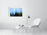 ... And The Trees Fell - nigelryan.art