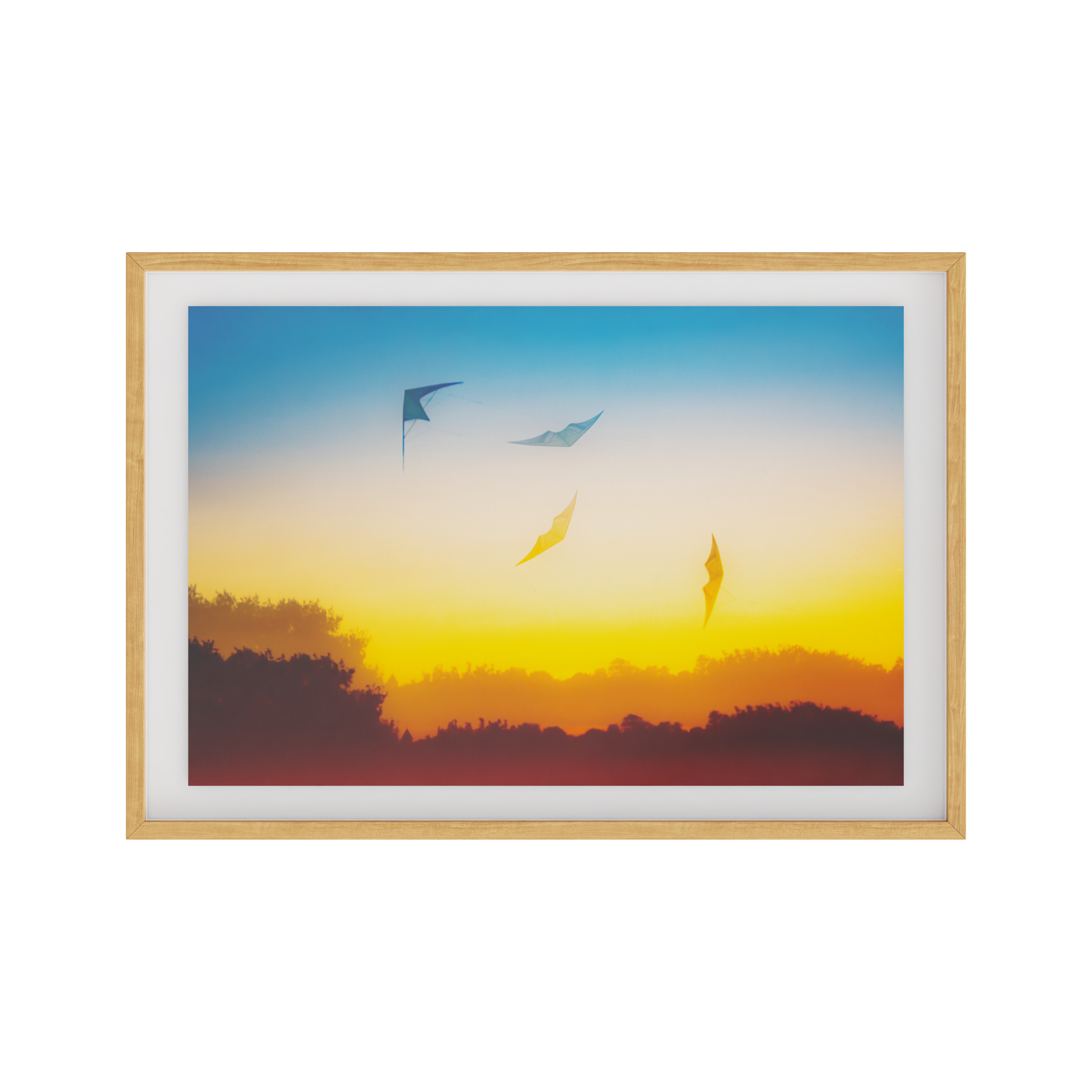 Traces of Flight - EditionX framed view 1