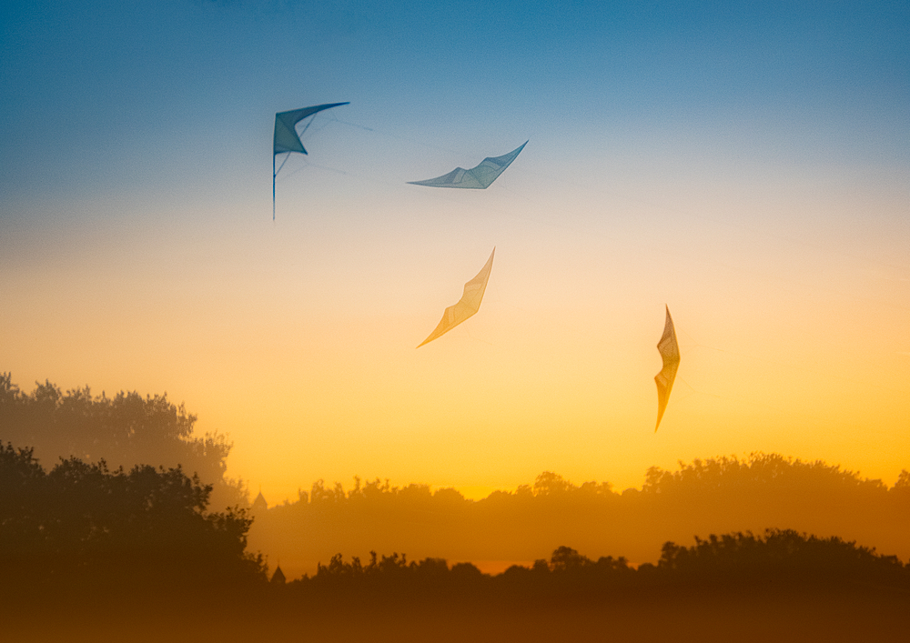 Traces of Flight - main photograph
